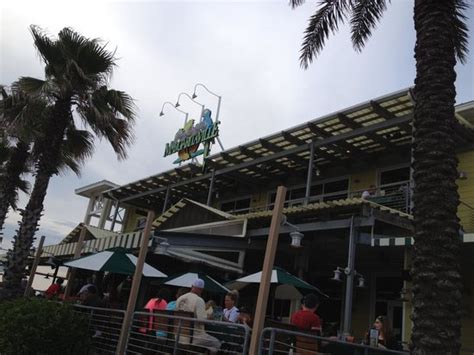 Margaritaville, Panama City - Restaurant Reviews & Photos - Tripadvisor