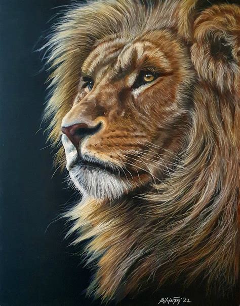 Wisdom - African Lion Portrait Acrylic painting by Silvia Frei | Artfinder