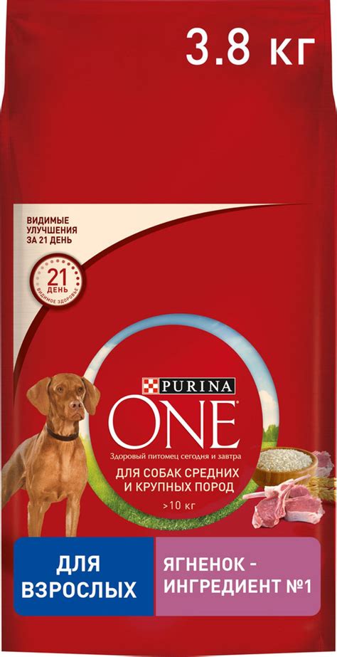 Сухой корм для собак Purina ONE для средних и крупных пород, с ягненком ...