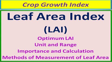 Crop Growth Index Leaf Area Index LAI YouTube