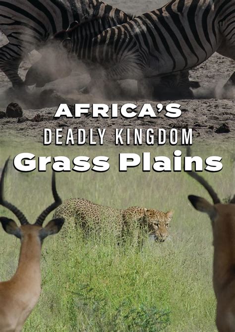 Africas Deadly Kingdom Grass Plains Dvd Peter