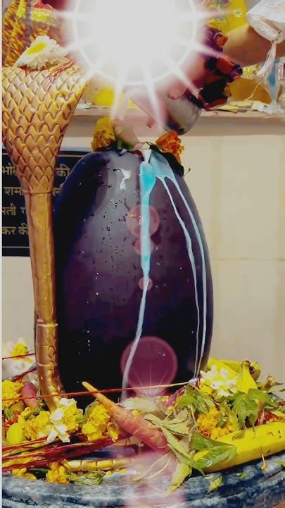 Har Har Mahadev Om Namah Shivay 💖📿🌱🌿💫🔱🚩🔱💫 Youtube