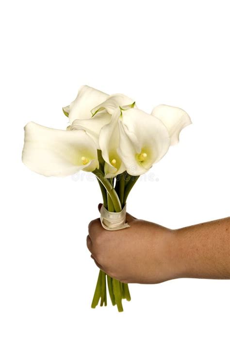 White Calla Lilly Bridal Bouquet Stock Image Image Of Bouquet Bridal