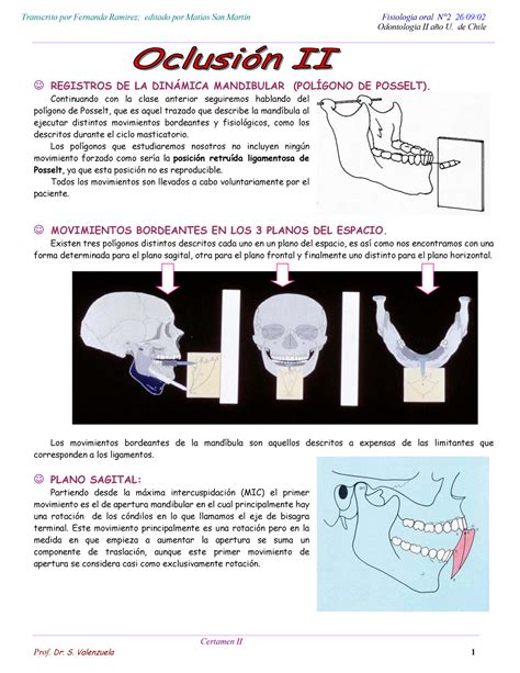 Oclusión II n2 Apuntes universidad de Chile Oclusion Fisiología