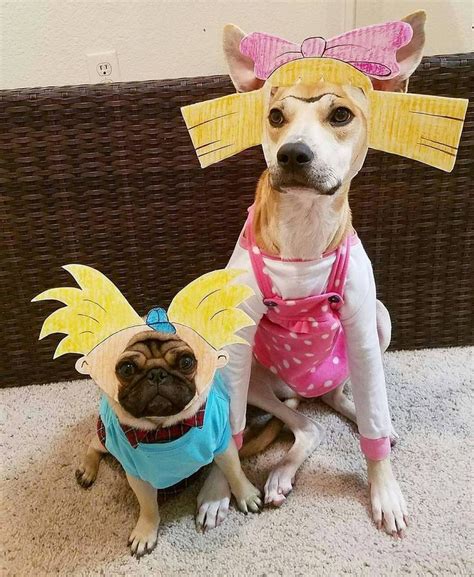 22 Divertidos Disfraces Para Pedir Dulces Junto A Tu Perro En Halloween