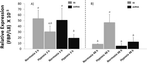Revisiting the hypoxia and anoxia resilience in marine animals