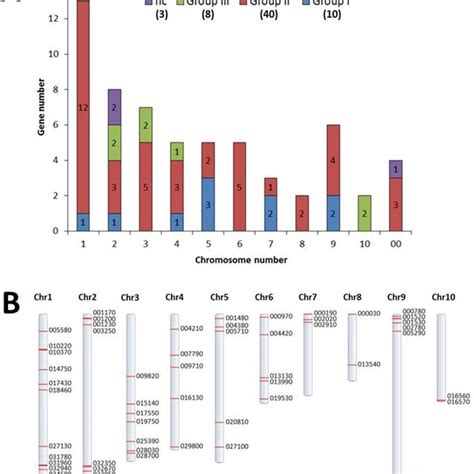 Phylogenetic Tree Of Wrky Protein Domains From Cacao And Arabidopsis