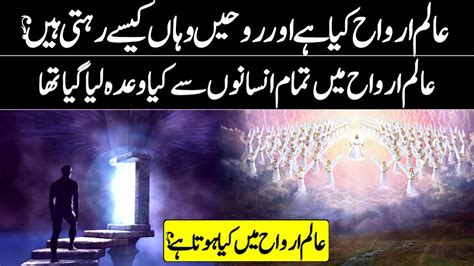 What Is Alam E Arwah Alam E Arwah Kya Hai Alam E Arwah Ki Haqeeqat