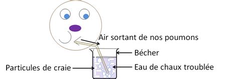 Laboratoire Du Web Chimie Chapitre 4 Le Dioxyde De Carbone