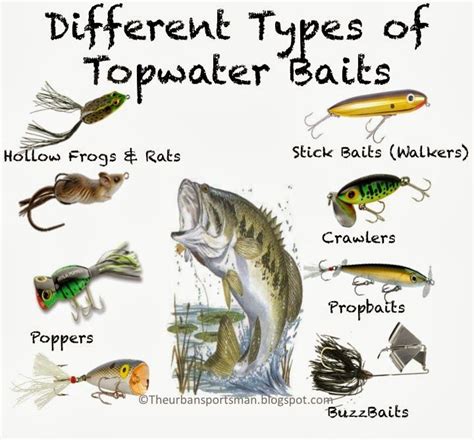 The Urban Sportsman Understanding Topwater Baits Fishing Tips Bass