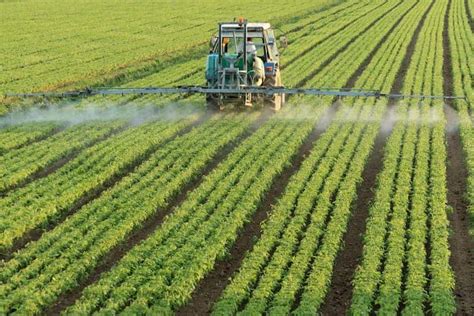 Causes Effects And Solutions Of Agricultural Pollution On Our