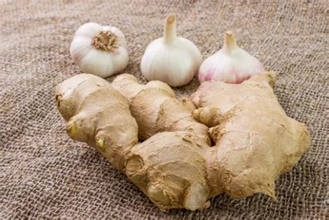 9 Powerful Health Benefits Of Garlic And Ginger Health Guide Ng