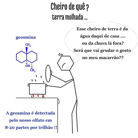 Cheiro De Qu Terra Molhada Laroma Laborat Rio De An Lise De