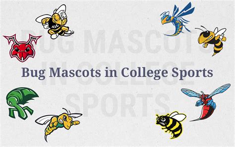 Unusual College Mascots Bug Mascots In College Sports