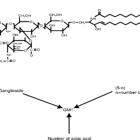 The Structure Of Ganglioside GM1 Panel A And Svennerholm S