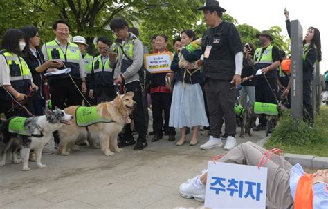 우리동네 지키는 서울 반려견 순찰대 파이낸셜뉴스