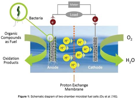 Microbial Biochemical Technology Schematic Diagram