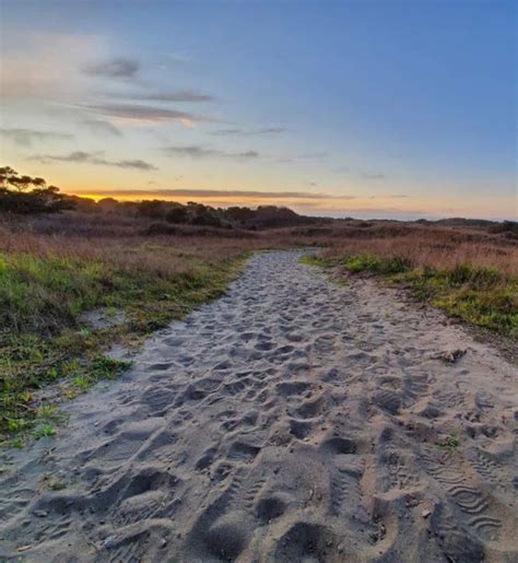 Friends Of The Dunes Offering Free ‘sunset Stroll Guided Walk