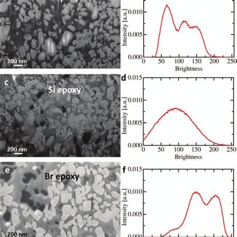 A High Resolution Sem Image Of The Lfp Impregnated With Cepoxy B A