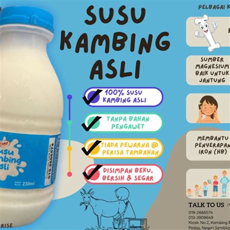 SUSU KAMBING ASLI