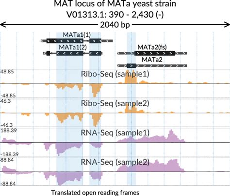 Ribo Seq And Rna Seq Aggregated Coverage Of Mat Locus In Mata Yeast