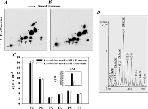 Phospholipid Turnover Of S Cerevisiae Grown In Phosphate Containing