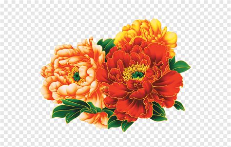 Moutan Peony Icon Peony Flower Arranging Orange Png Pngegg