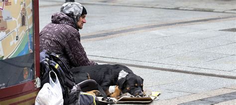 461 personas sin hogar atendidas por Cáritas en Palencia Todas las