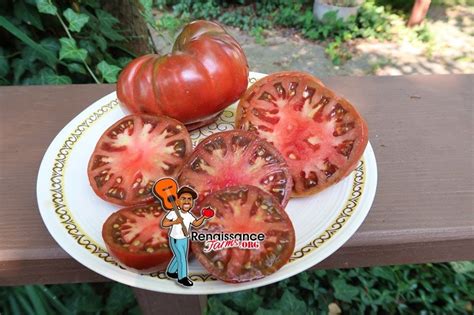 Varsovia Tomato Renaissance Farms Heirloom Tomato Seeds