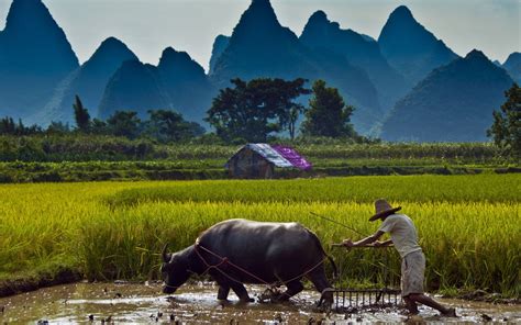 Farming Wallpaper HD | PixelsTalk.Net
