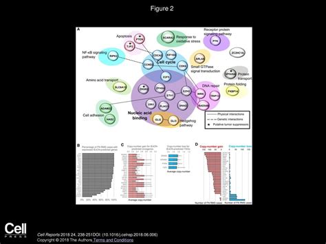 Volume 24 Issue 1 Pages July 2018 Ppt Download