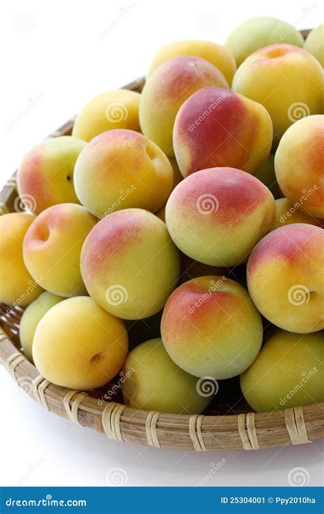 Ripe Japanese Apricot Fruits Stock Image Image Of White Prunus 25304001