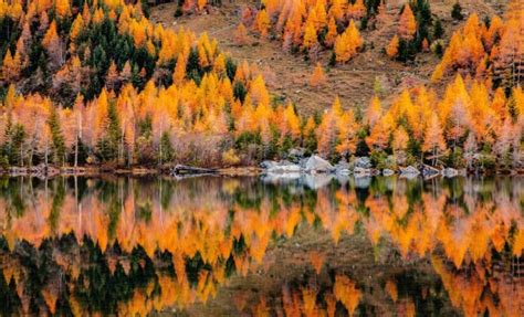 Pourquoi l automne est la période idéale pour visiter la Suisse