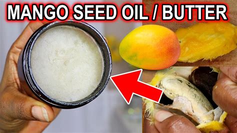 How To Make Mango Seed Oil And Butter For Hair And Skin