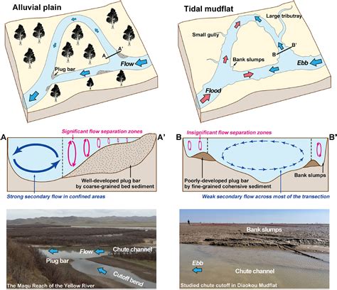 Hydrodynamics Of Meander Chute Cutoffs In Microtidal Mudflats Gao