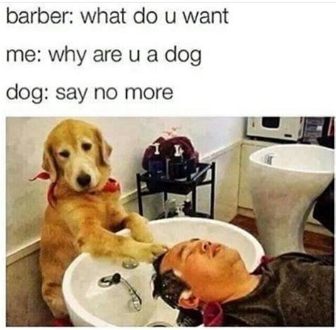 O The Barber Know Your Meme