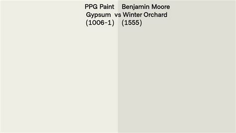 Ppg Paint Gypsum Vs Benjamin Moore Winter Orchard Side