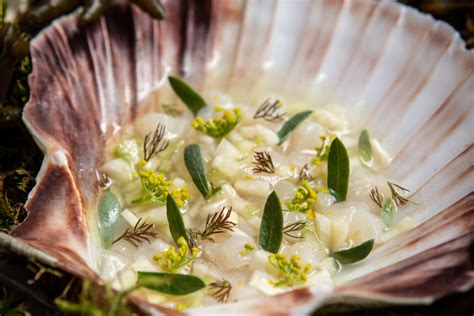 Cured Fennel Scallop Tartare Recipe Great British Chefs