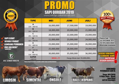 Harga Sapi Jawa Timur