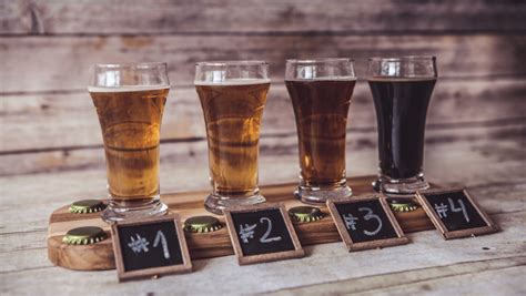 Best Craft Beer & Breweries In The USA | Travel Bruises