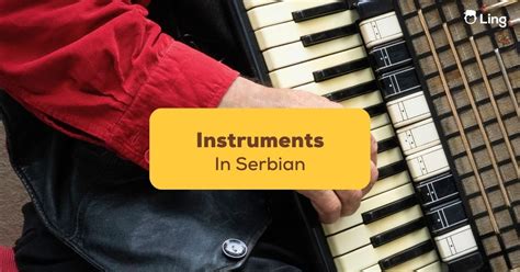 #1 Guide To Awesome Instruments In Serbian - ling-app.com