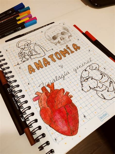 Anatomia Escuela Notebook Art Notebook Covers Pretty Notes Good