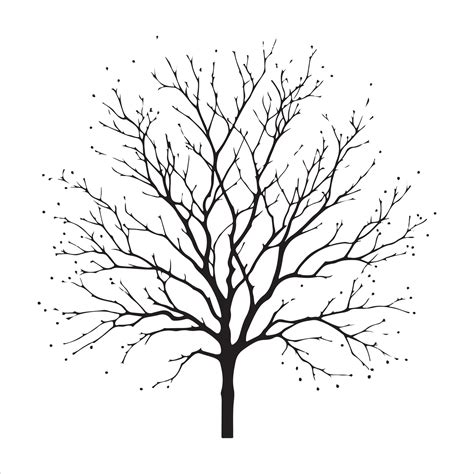 Minimal Autumn Naked Tree Vector Silhouette 36285961 Vector Art At Vecteezy