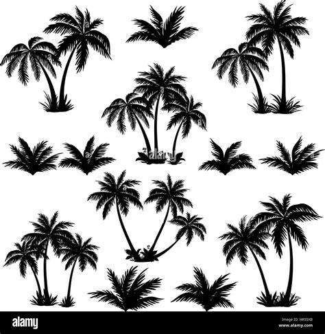 Egypt Palm Trees Stock Vector Images Alamy