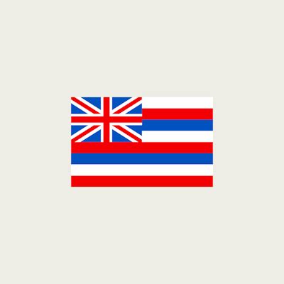 Illustration of Hawaii's Flag – designstripe