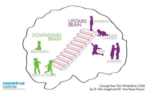 Momentous Institute › Blog › Upstairs And Downstairs Brain Whole