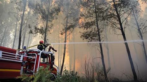 Incendie En Gironde 10 000 Personnes évacuées 6 800 Hectares Partis