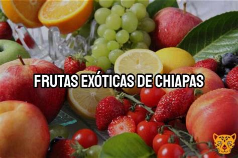 Frutas Ex Ticas De Chiapas Y Sus Beneficios Para La Salud Ayuda