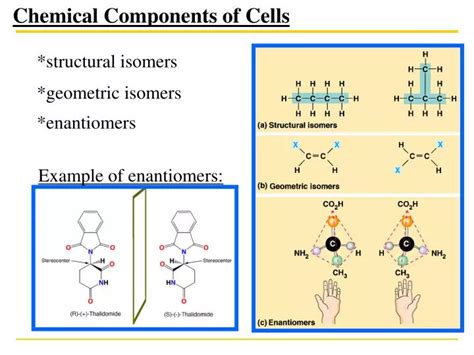 PPT - *structural isomers PowerPoint Presentation, free download - ID:2821903