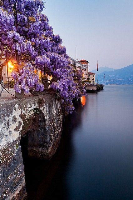 Italy Honeymoon - Wisteria, Lake Como, Italy #2027145 - Weddbook